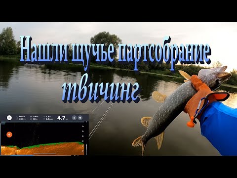 Видео: Щука на твичинг. Попали на партсобрание