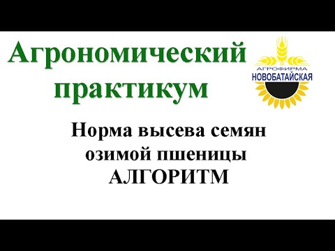 Видео: Норма высева семян озимой пшеницы АЛГОРИТМ