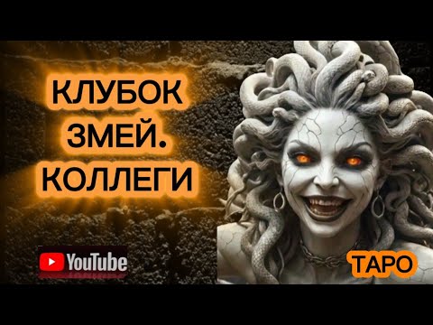 Видео: ‼️КЛУБОК ЗМЕЙ💠КОЛЛЕГИ ‼️Мда.. вот это коллективчик❗