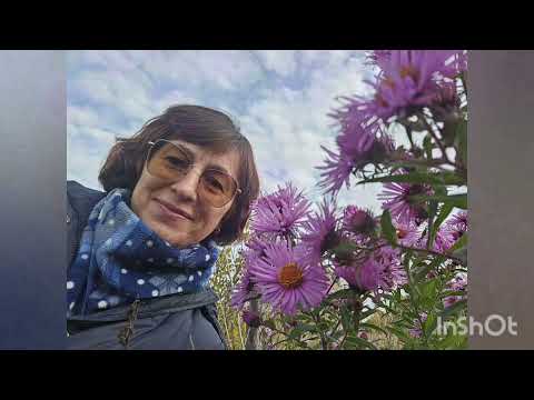 Видео: #32  Дача, октябрь 2024г, ОСЕННИЕ ПОСАДКИ, ПОСЛЕДНИЕ ТЕПЛЫЕ ДЕНЬКИ ОСЕНИ