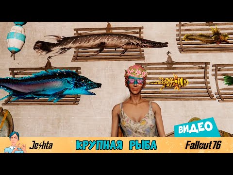 Видео: Fallout 76 ☢️ крупная рыба