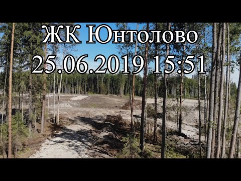 Видео: Юнтолово 25.06.2019 с высоты птичьего полета