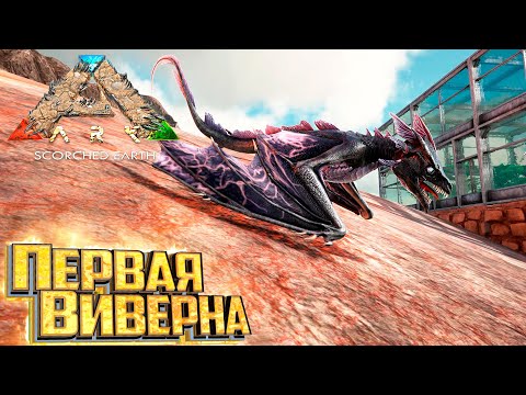 Видео: Воруем Яйцо ВИВЕРНЫ - ARK Survival Scorched Earth Выживание #7