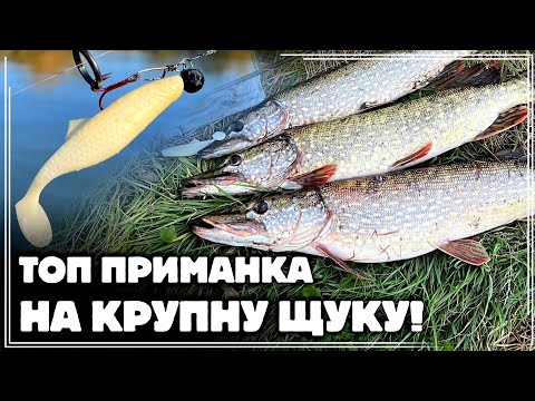 Видео: ✅️ ЦЯ ПРИМАНКА ЛОВИТЬ лише КРУПНУ ЩУКУ ‼️ ШАЛЕНИЙ СИЛІКОН на ОСІННЮ ЗЛУ ЩУКУ 🔥🔥🔥