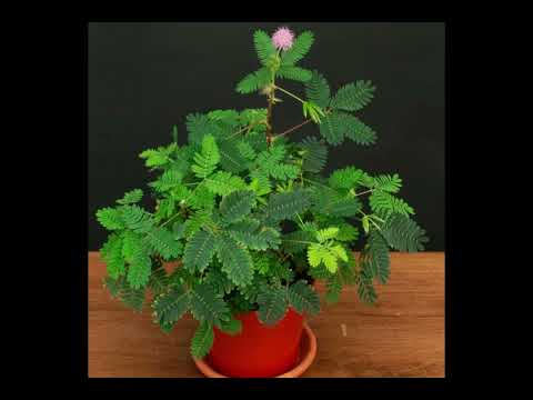 Видео: 21 октября 2025 г.