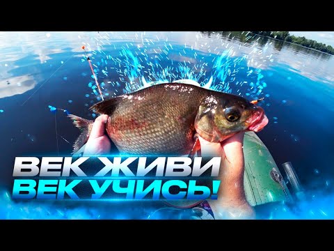 Видео: Век живи Век учись.Рыбалка на донки. Сamping ,fishing,bushcraft,