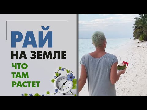 Видео: Место силы или рай на земле | Какие растения растут в раю и как они там выглядят