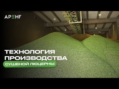 Видео: Технология производства сушеной люцерны