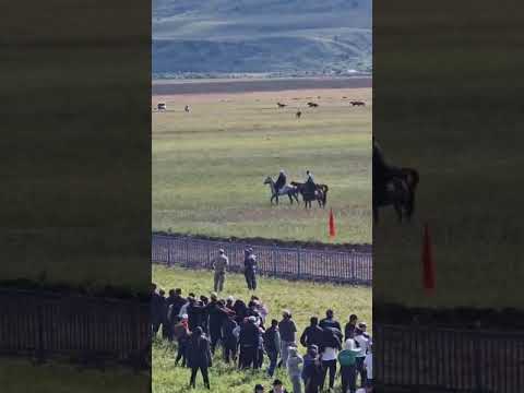 Видео: ЖОЛАН ЖҮЙРІГІ| ЭЛАНТРА ИЕГЕРІ ФИНИШ