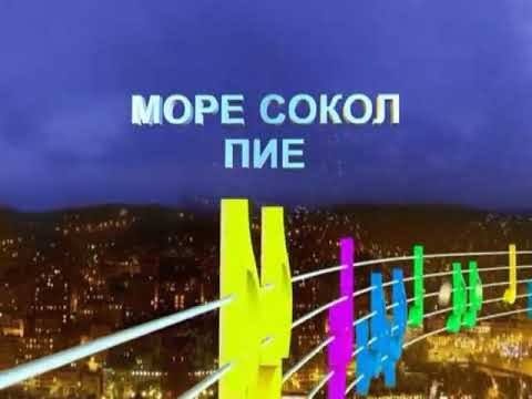 Видео: Море сокол пие Аранжимент