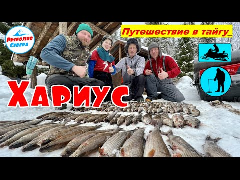 Видео: ✅ ЛОВЛЯ ХАРИУСА НА ТАЁЖНОЙ РЕЧКЕ🎣🐟☀️☀️☀️ СМОТРЕТЬ ОБЯЗАТЕЛЬНО!!☝️😃💪 #рыболов_севера
