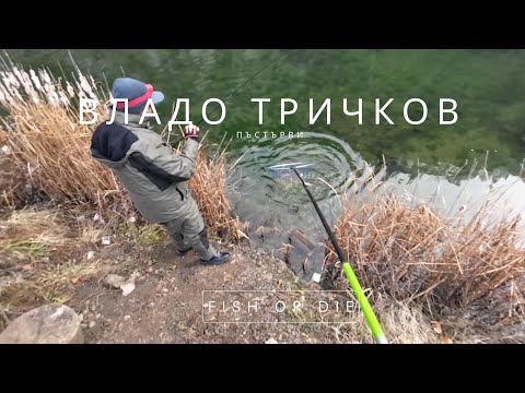 Видео: Пъстърви Владо Тричков - Trout Vlado Trichkov