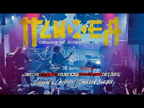 Видео: Психея — «Эти Дни» / До и после концерта / Москва / 16 марта 2025 / Дневники Одиночки / Multicam