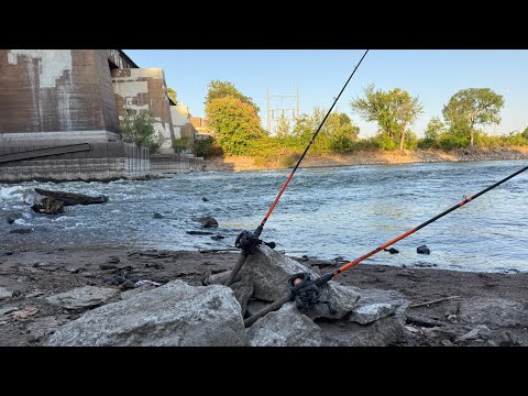 Видео: Тонны рыбы живут в этой плотине в Айове!! (Безостановочное действие!!)