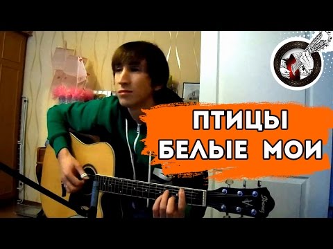 Видео: Птицы белые мои на гитаре | Фингерстайл. Урок