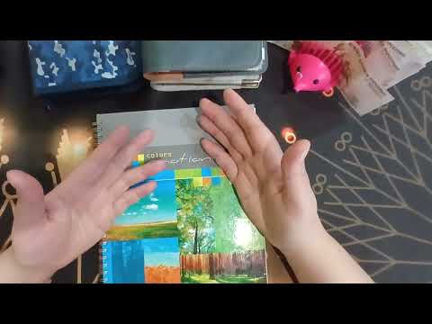 Видео: Стрессовое распределение 💸😭 немного жалуюсь 🤭 #путькмечте #системаконвертов