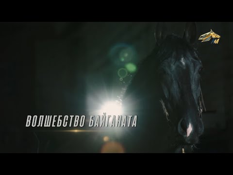 Видео: PRO_Лошадей. Байганат. 30 октября 2022 года. 16:50