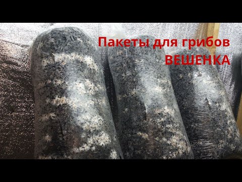 Видео: Пакеты для грибов Вешенка