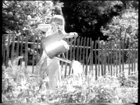 Видео: Рекламный блок (Первый канал, 23.08.2008) (4)