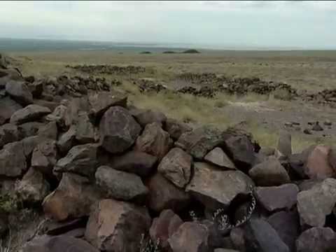 Видео: Тайные знаки. Бесшатыр. Часть 1