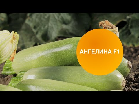 Видео: АНГЕЛИНА F1 | Овощная усадьба