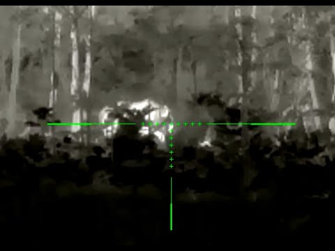 Видео: Он разорил мои капканы! И охотился на меня...