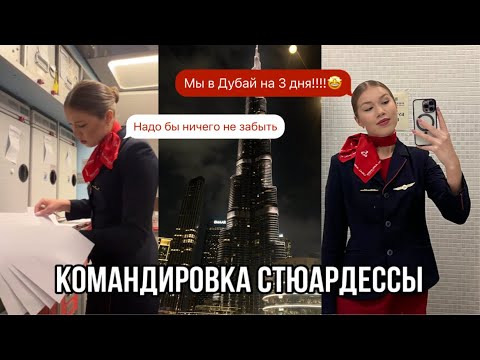 Видео: ПОТЕРЯЛИСЬ В ДУБАЕ | Гуляем с колумбийцами | Как стюардессы проводят время в командировках | VLOG