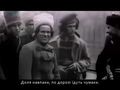 Видео: Гуляй - поле