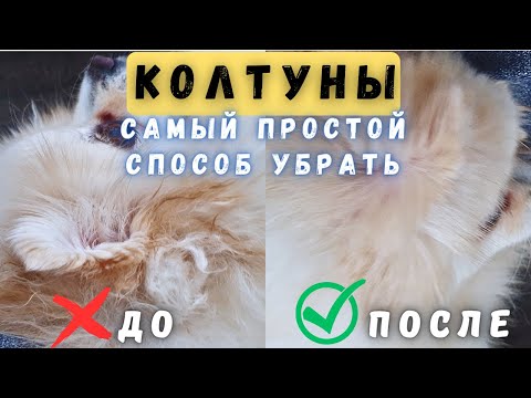Видео: Как быстро и легко расчесать колтуны у собаки 🐾Уход за шпицем