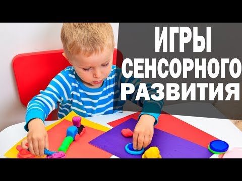 Видео: Сенсорное развитие детей. Сенсорное восприятие