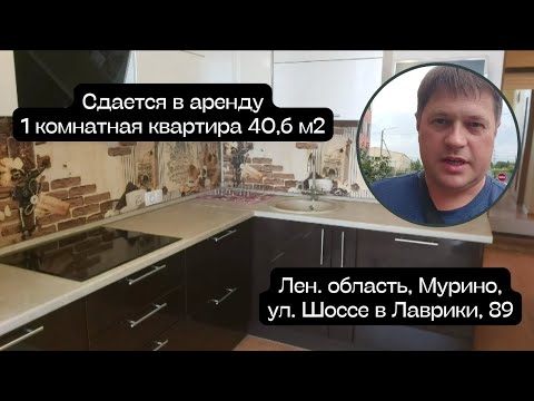 Видео: Аренда 1 комнатной квартиры в Мурино