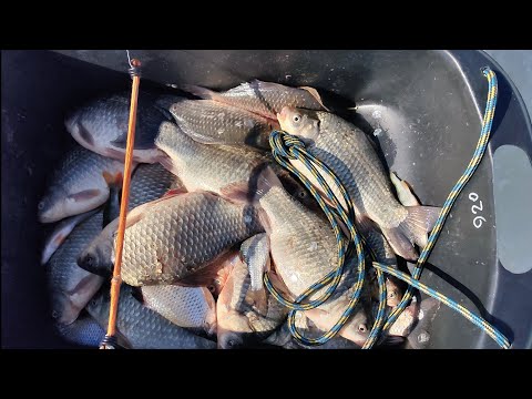 Видео: Рыбалка Чаны Колояр март 2025