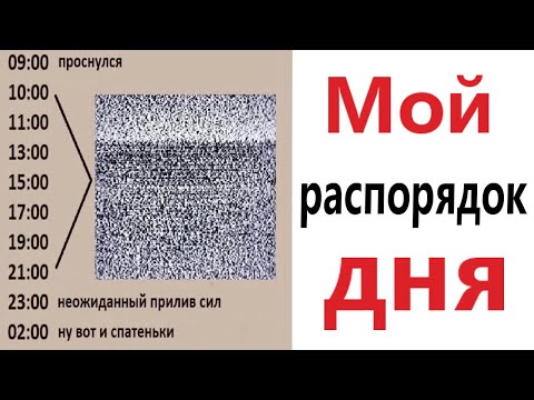 Видео: ПРИКОЛЫ! МОЙ РАСПОРЯДОК ДНЯ - МЕМЫ!!! Смешные видео – Доми шоу!