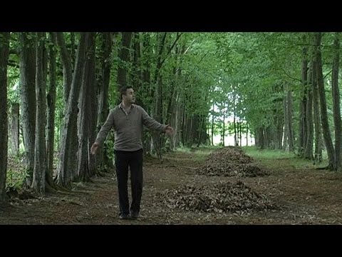 Видео: История Беларуси: д. Новобережное и "Три толстяка"