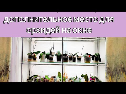 Видео: Стеллаж,полочки, дополнительное место на ОКНЕ для орхидей. Как разместить МНОГО орхидей на окне?