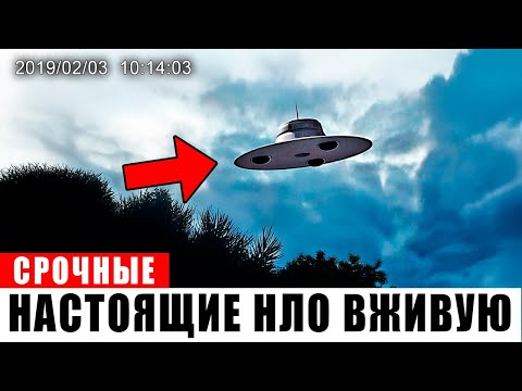 Видео: 60 САМЫХ ЯСНЫХ Наблюдений НЛО, Которые Стоит Увидеть, Пока Правительство США не Удалило!