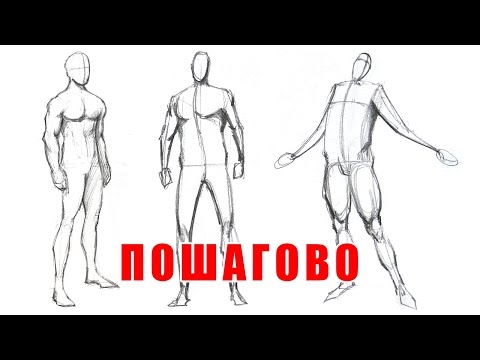 Видео: 🧍‍♂️ Как рисовать ТЕЛО (для новичков)
