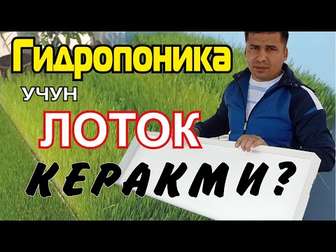 Видео: Гидропоника учун лоток! Тайёрлаш ёки заказ килиш мумкин!