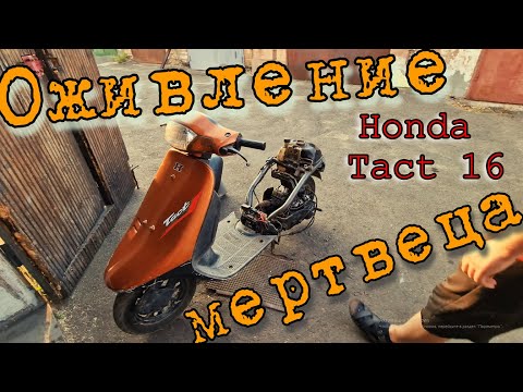 Видео: Оживление Мертвеца Honda Tact 16