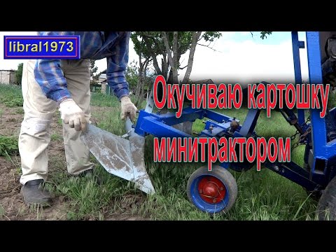 Видео: Окучивание картофеля минитрактором