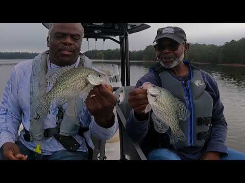 Видео: Ловля краппи на Кларк-Хилл-Фолл-Слэб