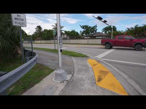 Видео: Мертвый крокодил в том же канале, в котором тусуется Фред!