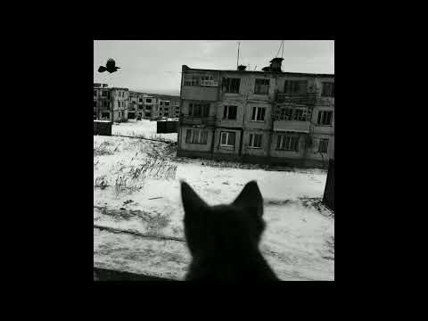 Видео: УННВ X РЫНОЧНЫЕ ОТНОШЕНИЯ X ЧЕРНАЯ ЭКОНОМИКА TYPE BEAT - "РАЙОН"