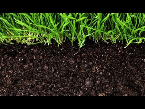 Видео: Гумус