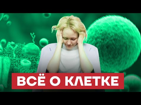 Видео: Строение клетки | Биология ОГЭ 2022 | Умскул