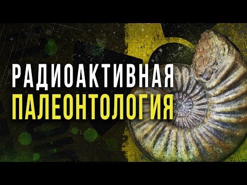 Видео: ☢ Радиоактивная палеонтология [Олег Айзон]