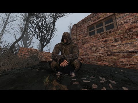 Видео: S.T.A.L.K.E.R. Anomaly 1.5.3 BOSSPACK v. 1.9.2. Игра с элементами RPG. #7 Готовимся к X11