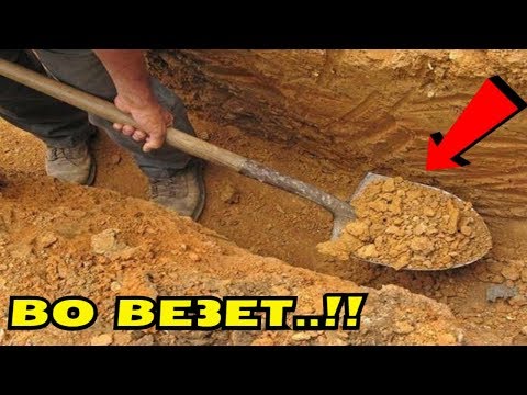 Видео: НЕРЕАЛЬНЫЙ КОП! ОТ НАХОДОК СНОСИТ КРЫШУ! СМОТРЕТЬ ВСЕМ! В Поисках Клада от Влада!