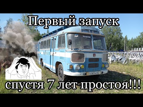 Видео: ПАЗ-672М 1986г.в. Первый запуск спустя 7 лет(the first engine start after 7 years)