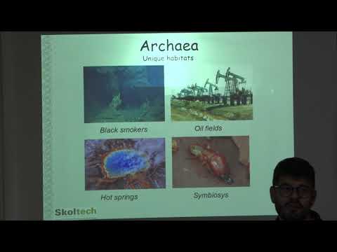 Видео: Сергиев П. В. - Методы молекулярной биологии - 2. Эукариоты